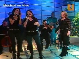 PANDORA EN MOJOE OJALA -EN VIVO