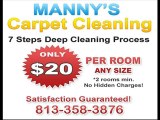 Affordable Carpet Cleaning Tampa