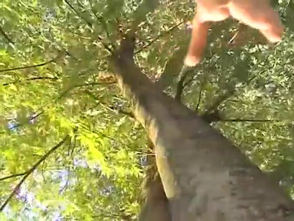 Ba Gua Zhang - Une gestuelle de vie - Part 2