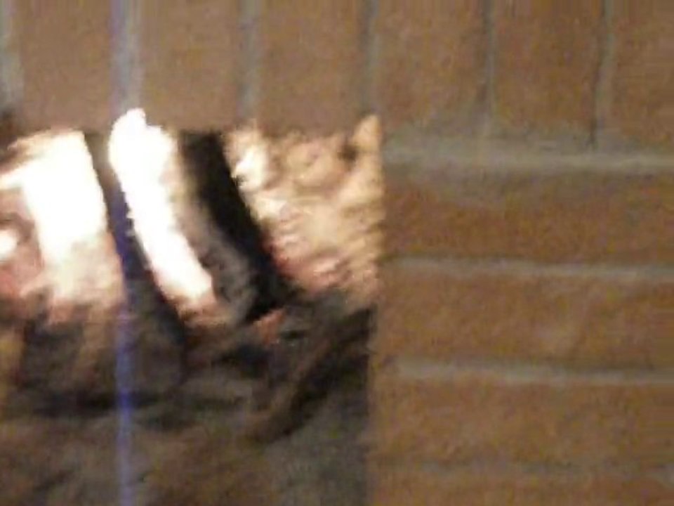 fuoco