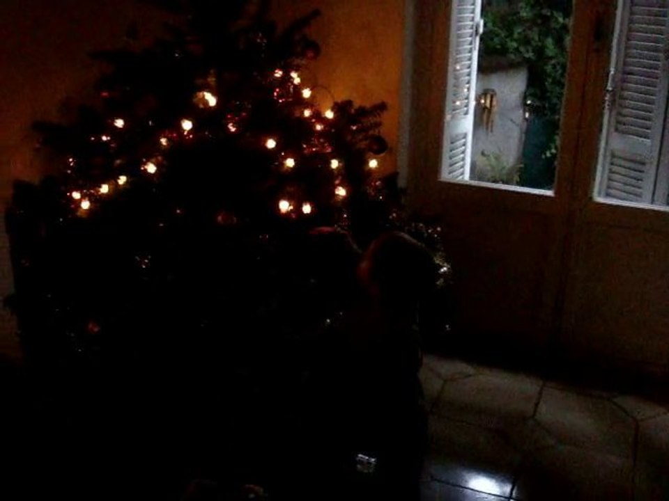 Le sapin et la crèche