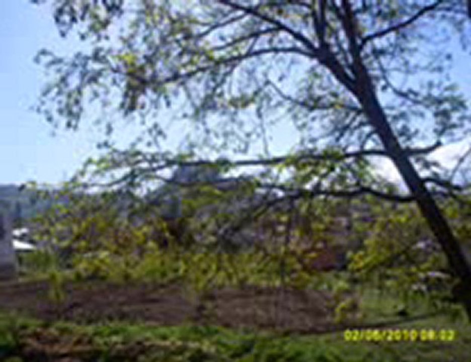 NİSAN-MAYIS 2010 RESİMLERİ -2-İRFAN VURAL