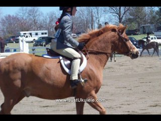 banjo ukulele chords tutorial