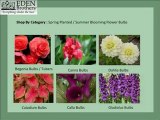 Flower Seeds, Vegetable Seeds, Herb Seeds & Flower Bulbs