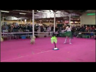 OBR premier concours 2008