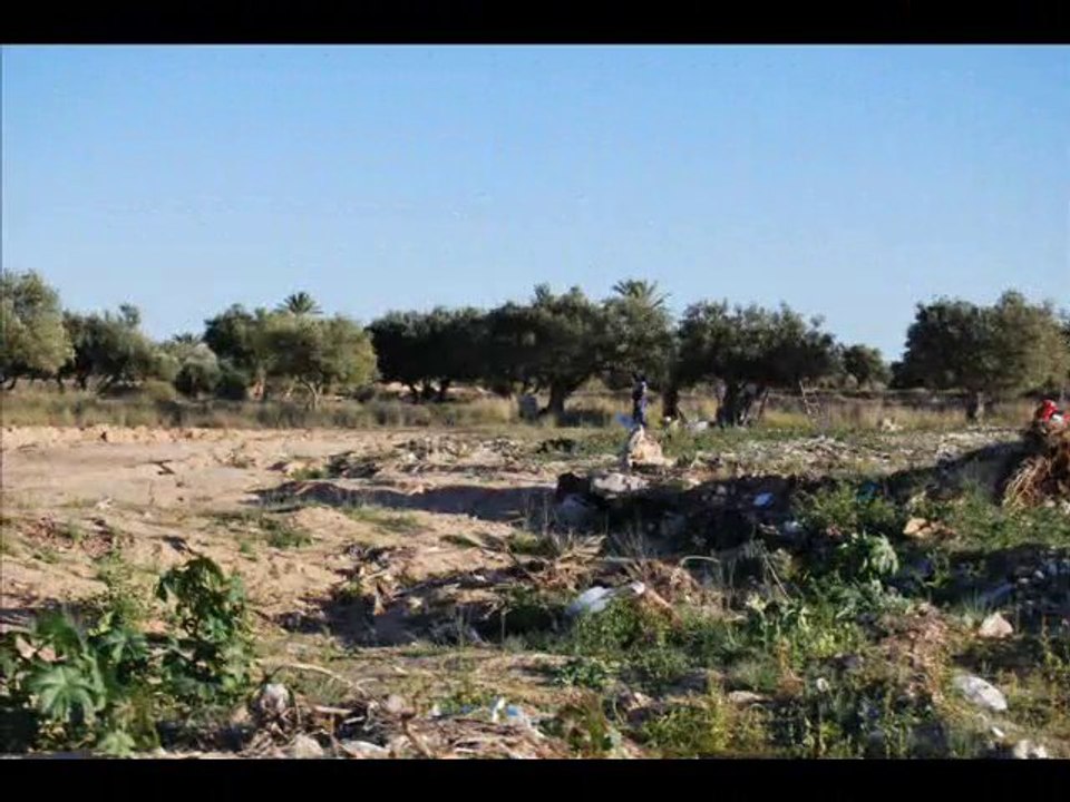 le secret d'ulysse DJERBA (musique de la pub ferrero)