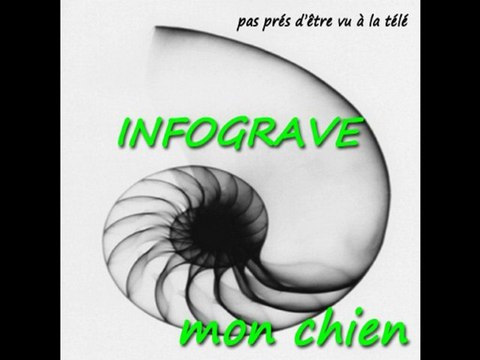 INFOGRAVE-mon chien (trailler)