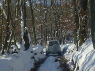 Téléthon 2010 P1040728