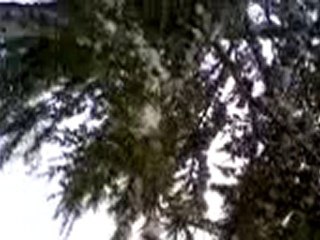 MART 2010-3--İRFAN VURAL(irfan-vural@hotmail.com)