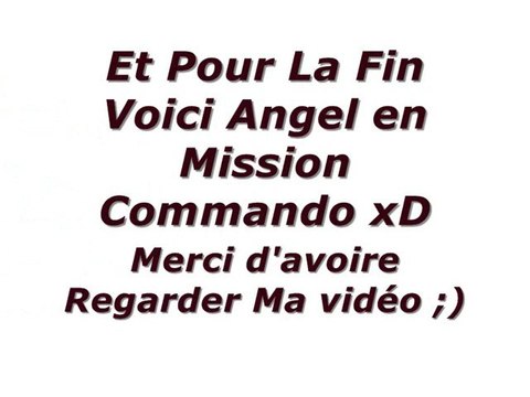 ___` Séance de Saut Du 19/12/2010 Angel '