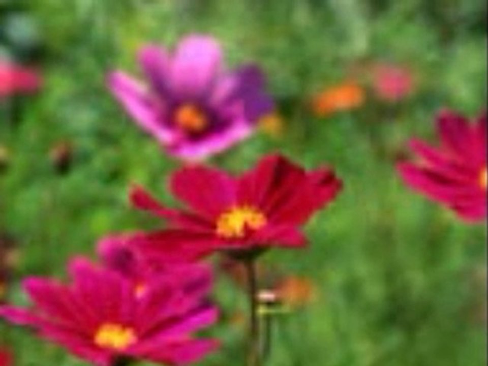 DJ Yildirim Ft Nilo - Beklemezdik ( Special )