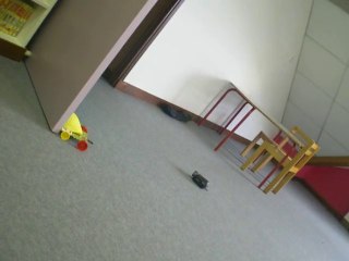 Course de voitures à propulsion pneumatique - 1