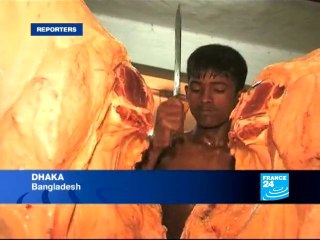 Bangladesh: The traffic in sacred cows