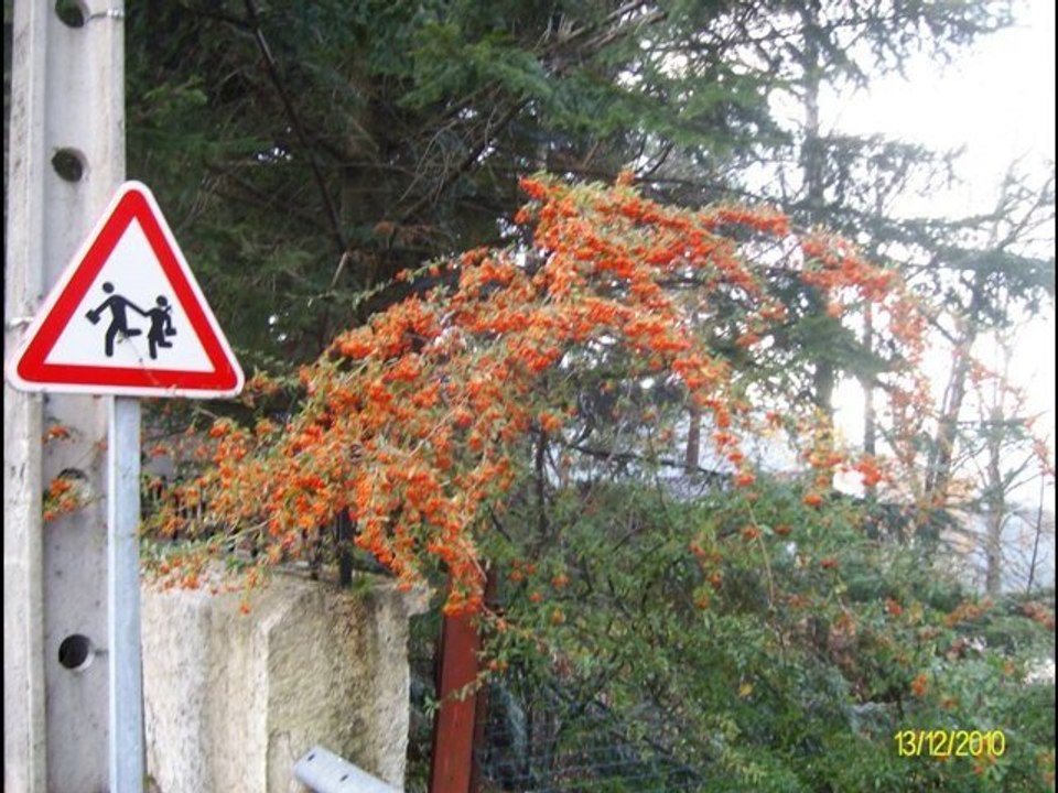 VÍDEO DE 20 DE DEZEMBRO DE 2010