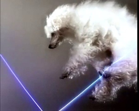 Vitalic - Poney part I