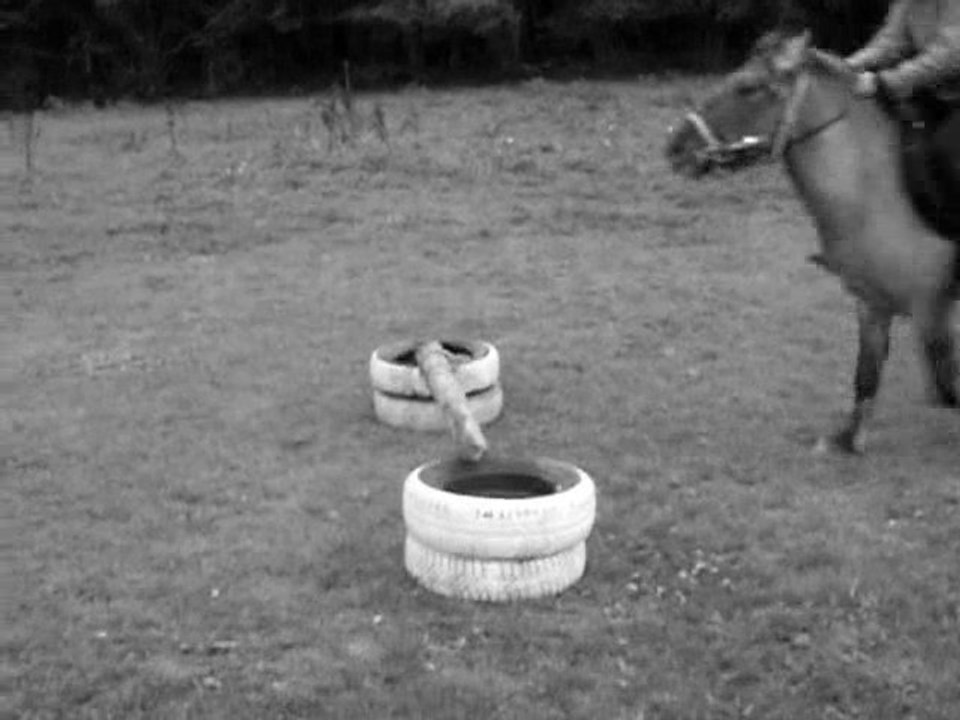 L'histoire de Dollie, L'histoire de Marie, Leur Histoire ♥