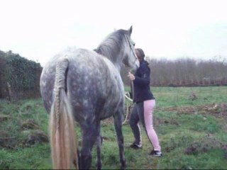Dimanche séance de plat avec Cannelle