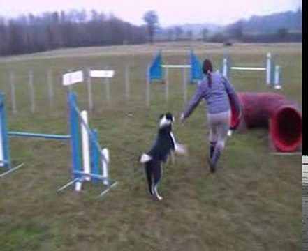 démonstration d'agility snoopy malhoreau vidéo 9