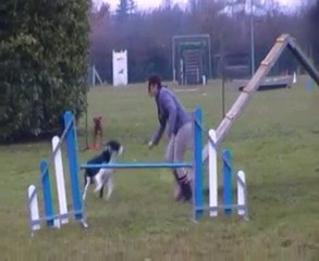 démonstration d'agility snoopy malhoreau vidéo 8