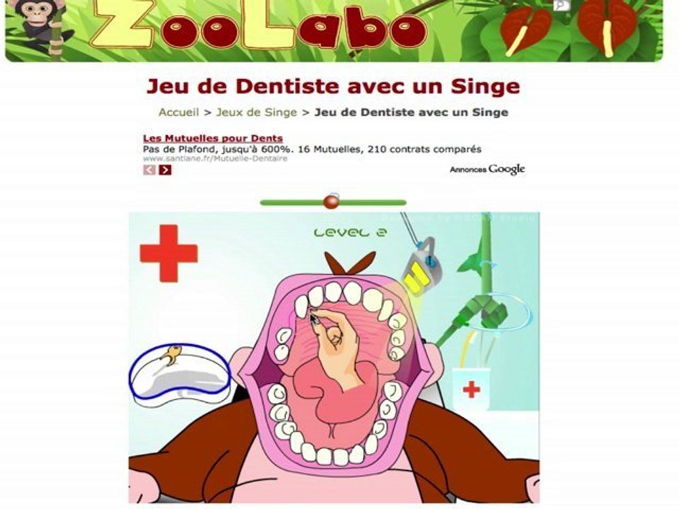 Un singe chez le dentiste