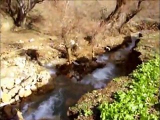 Bahçe arası köpsüsü