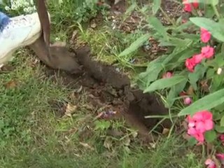 Community Action Agency of Somerville