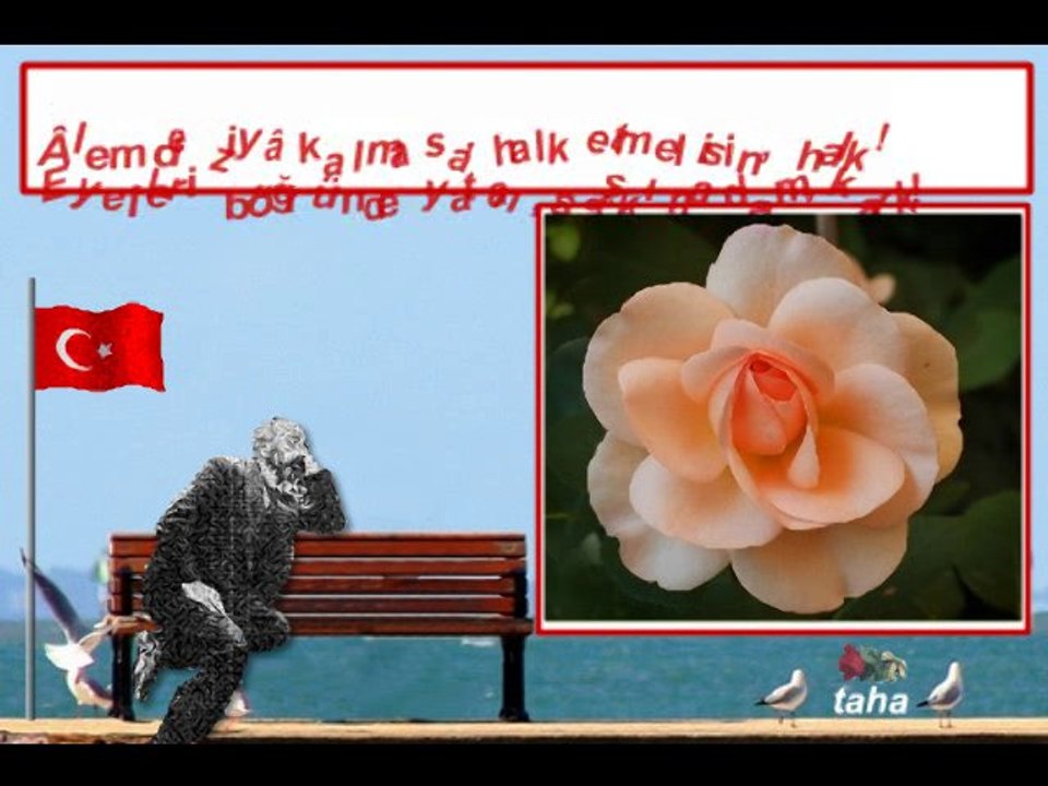 Azmi Birakma - www.tahapinar.com