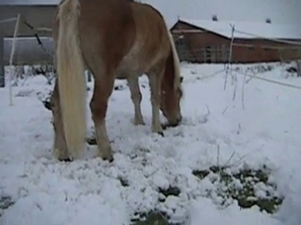 Valentin hiver 2010