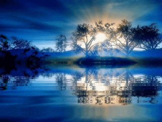 Melihat GÜLSES - Beyaz Köpükler