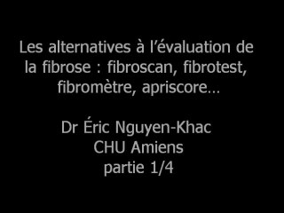Forum 2010 Lille Eric Nguyen-Khac, Fibroscan, Fibrotest 1/4