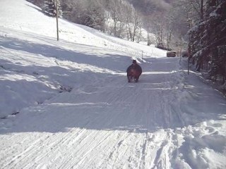 Noël 2010 092