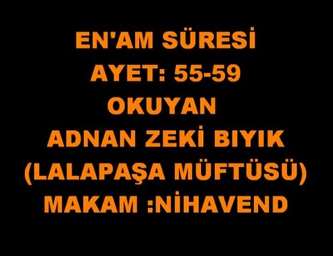 KURAN-I KERİM- ADNAN ZEKİ BIYIK (LALAPAŞA MÜFTÜSÜ)-EN'AM 55