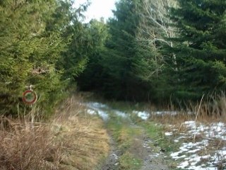 trail-tourisme puydedome 31/12/2010