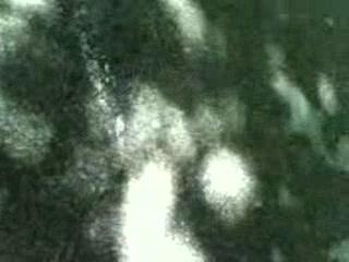 100 taureaux a somière 2006