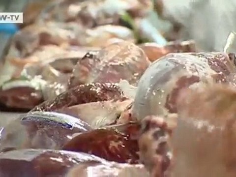 How Brazil aims to meet global demand | Global 3000