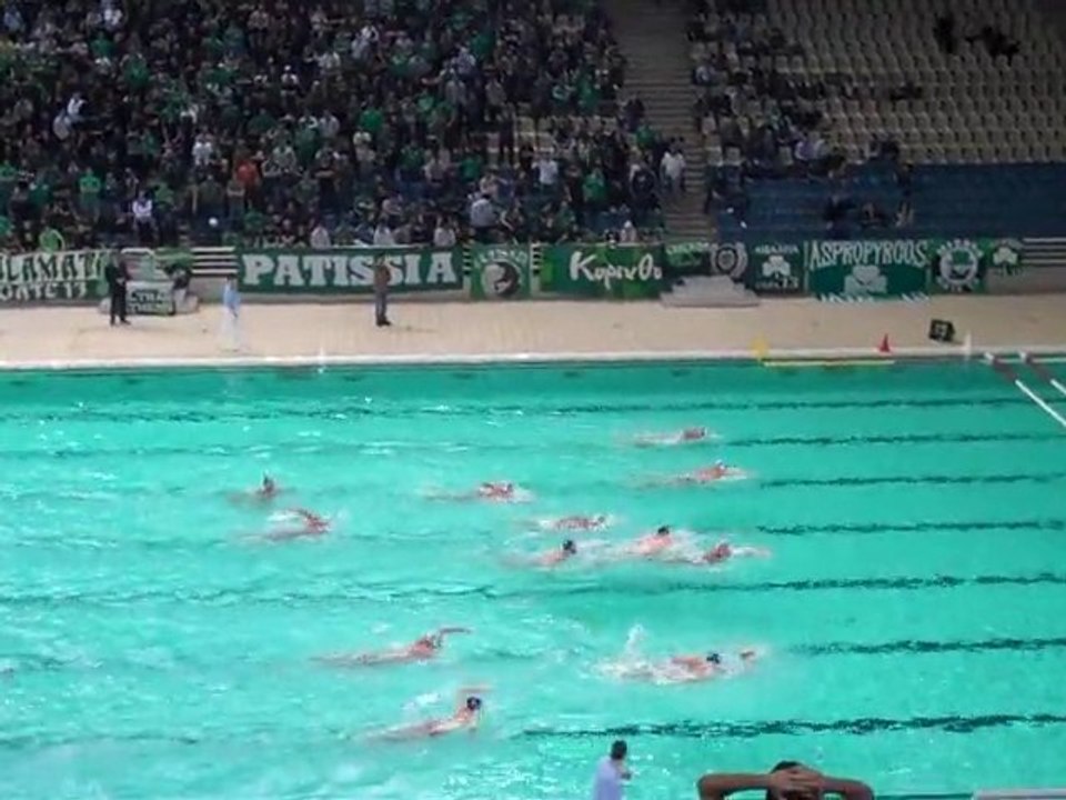 pao osfp polo