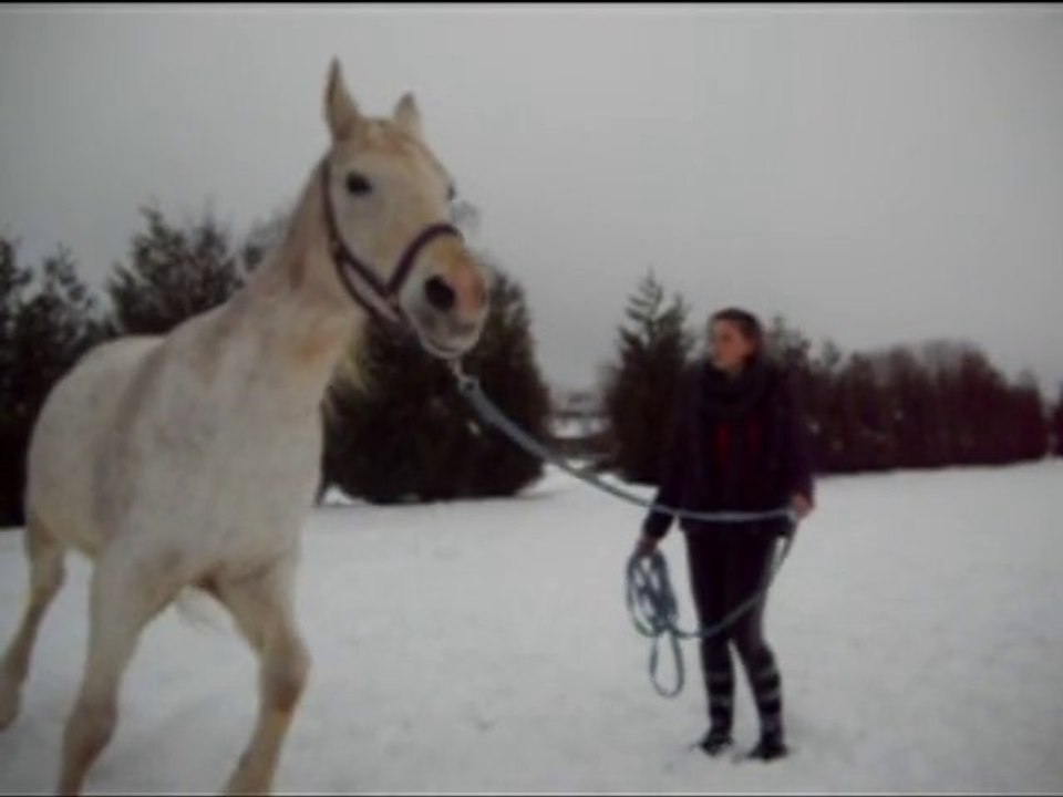 Klepper a  la longe :)