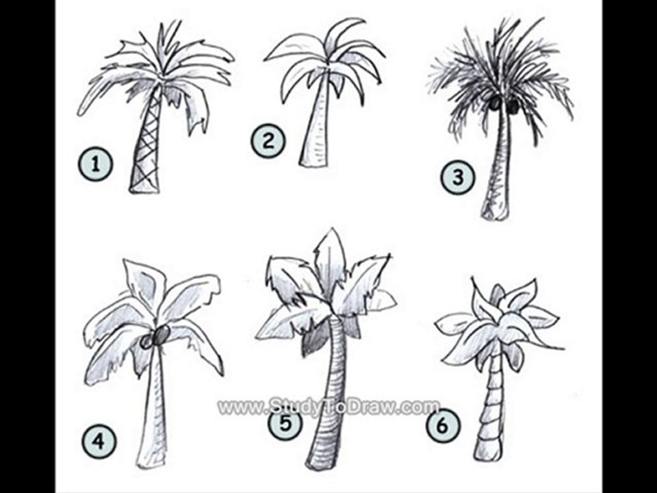 how to draw manga lessons
