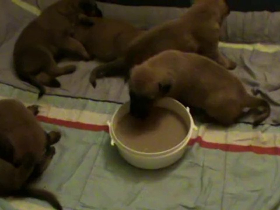 Be Aware C's-3 Wochen-1.Mahlzeit