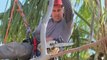 Tree Felling Bibra Lake Abundant Earth Tree Care WA