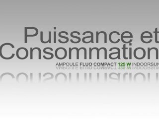 Ampoule Indoor Sun Fluo-compacte Puissance et consommation