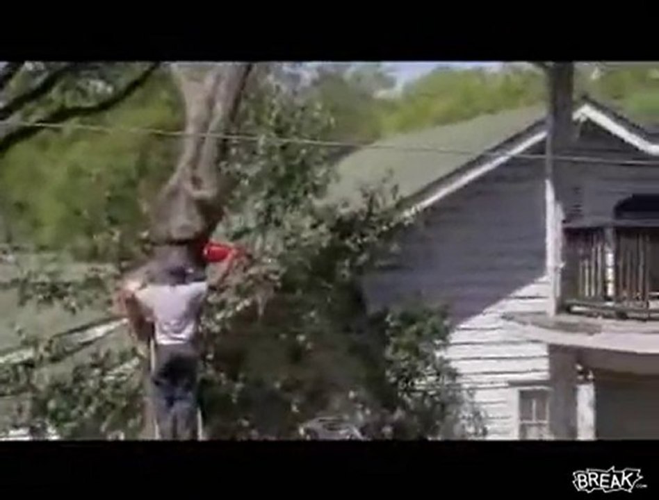 Albero si vendica del boscaiolo
