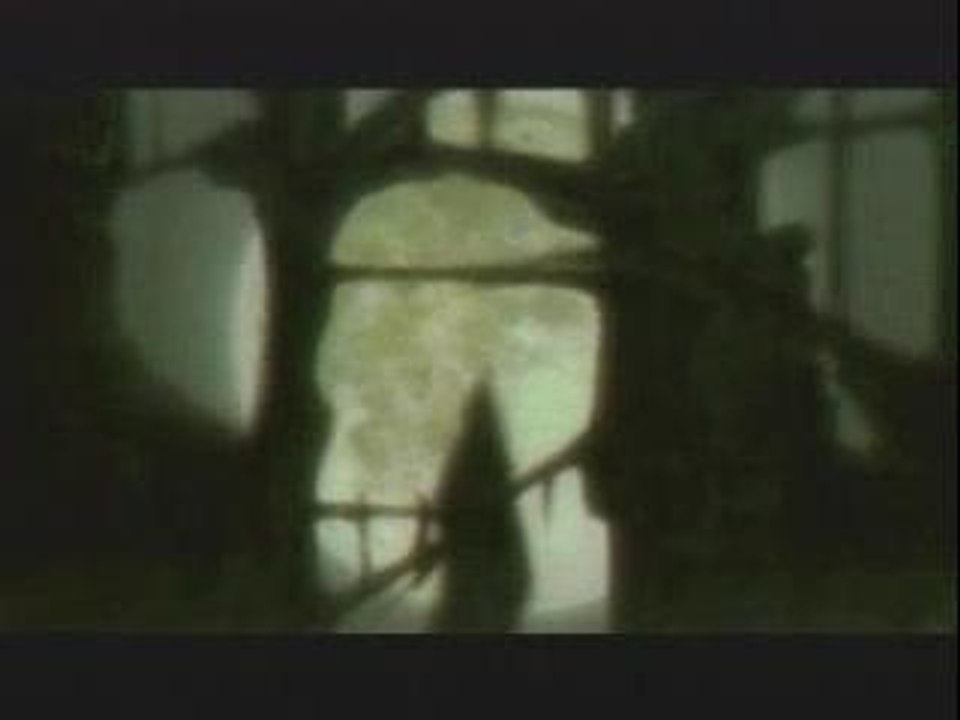 AMV  Vampire Hunter D