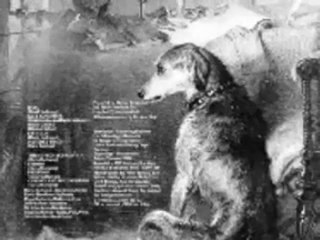 Pavlovs Dog - Late November