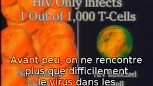 VIH = SIDA, fait ou fraude VOSTFR 2/7