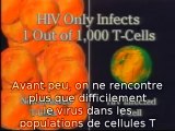 VIH = SIDA, fait ou fraude VOSTFR 2/7