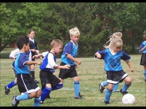 Revistas y periódicos digitales