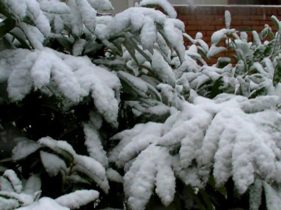 Nature, Ville, et Neige !