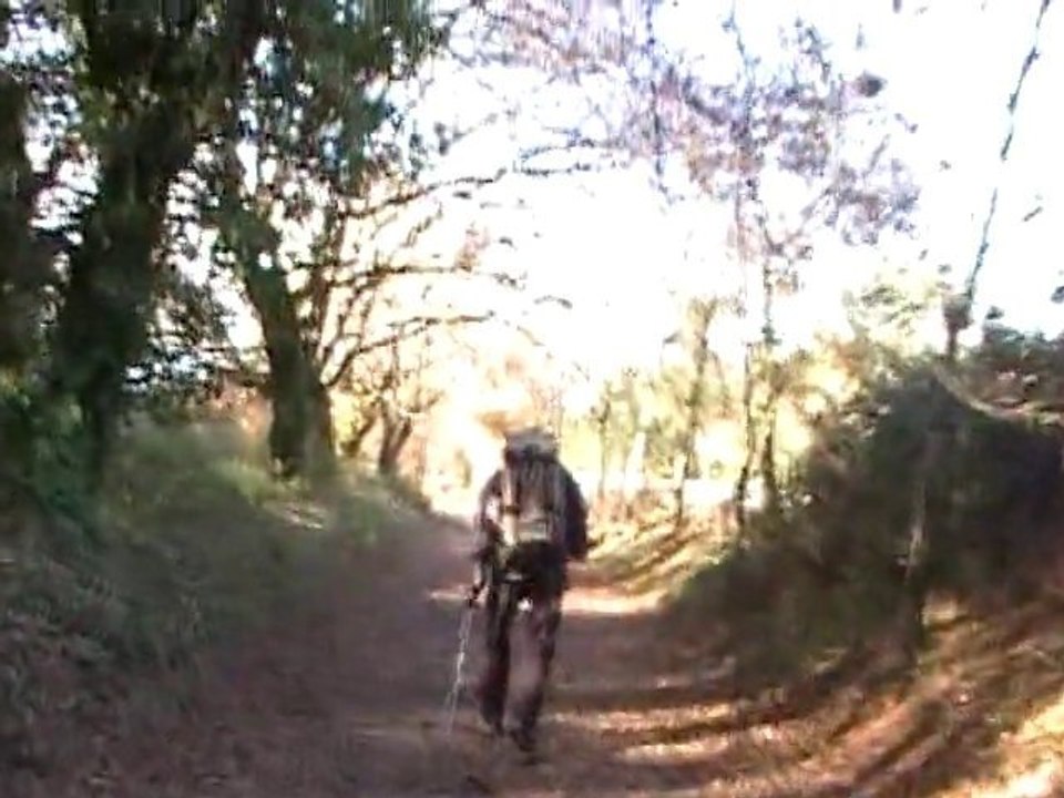 Camino de Santiago 2010. Sarria - Santiago de Compostela