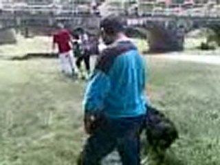 Nik nik Dog- Classé X